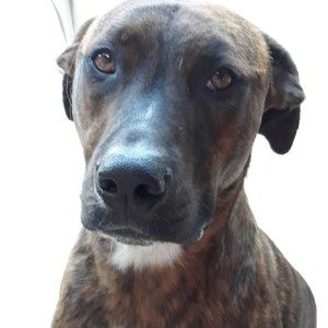 Meet your Posher, Valerie